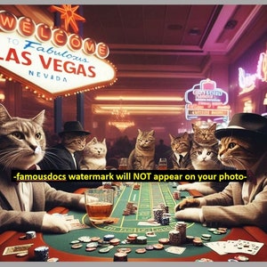 5x7 Kitty Cat Kasino FOTO Poker spielende Katzen Lustig verrückte Katzen Foto Las Vegas Black Jack Tisch Kätzchen Las Vegas Glücksspiel!