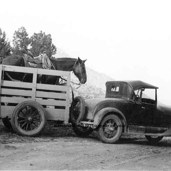 5x7 Vintage Cowboy Horse Trailer PHOTO 1931 Arizona Truck Pulling Wagon