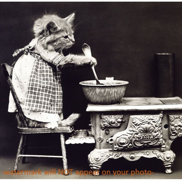 4x6 Vintage Kitty Cat Cooking PHOTO Kitten Making Dinner in Kitchen Cute Funny 1914 Reprint Pic Photo