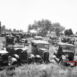 May include: A black and white photograph of a scrapyard filled with vintage cars. The cars are all in various states of disrepair, some are missing parts, and some are covered in rust. The cars are all parked in a field of long grass.