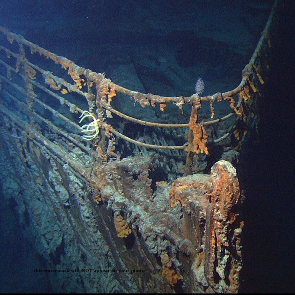 5x7 Amazing Titanic Wreck Photo of Bow on Ocean Floor PHOTO Disaster Wreckage Sinking