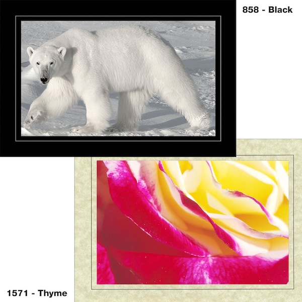 Photo Insert Card, Cardstock with Single Border, Set of 10 for 4x6 Photos