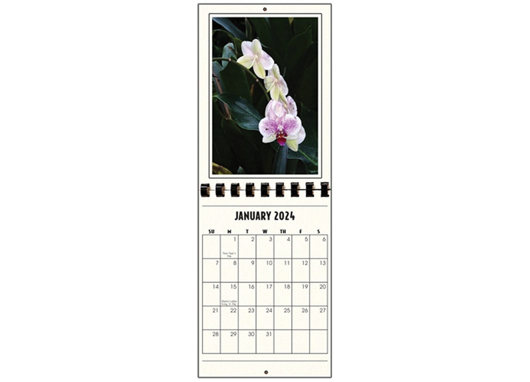 2024 Photo Mount Wall Calendars, for Vertical 4x6 Photos, Pack of 3 - Etsy