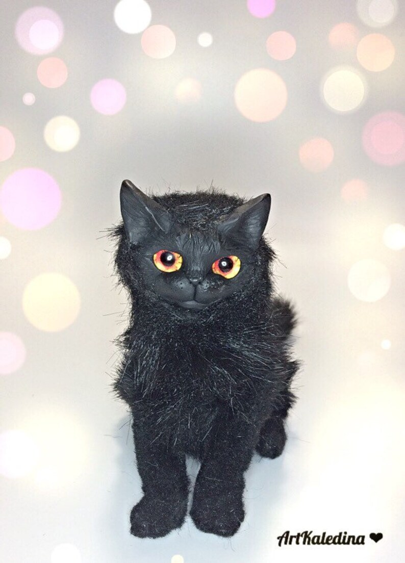 angry cat plush