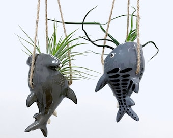 Tiger shark, hammerhead shark & blacktip shark air plant / tillandsia holder. Handmade ceramic planter.