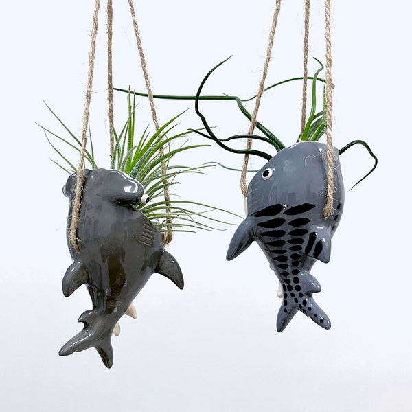 Tiger shark, hammerhead shark, nurse shark, lemon shark & blacktip shark air plant hanger. Ceramic shark pottery. Tillandsia holder