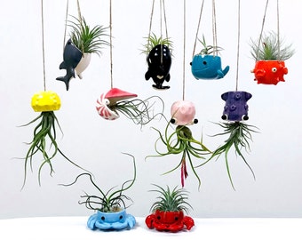 Percha de plantas de aire de criaturas marinas, soporte de Tillandsia. Pulpo colgante calamar pez globo ballena nautilus medusa tiburón orca cangrejo. decoración costera