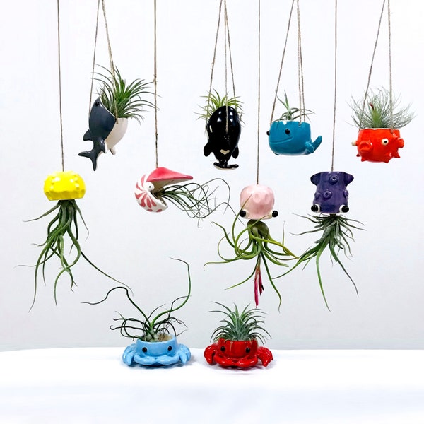 Sea creature air plant hanger, Tillandsia holder. Hanging octopus squid pufferfish whale nautilus jellyfish shark orca crab. Coastal decor