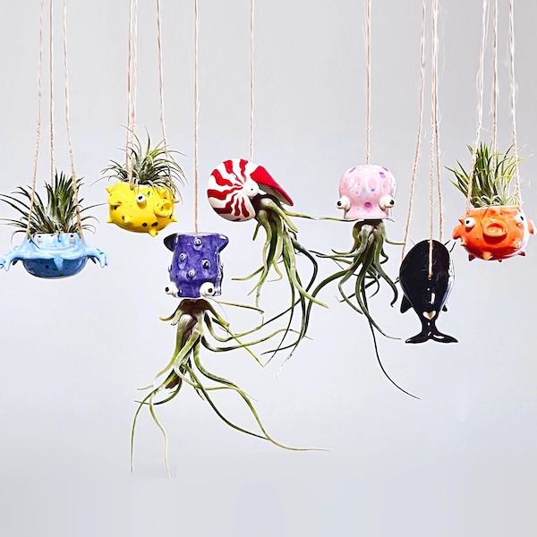 Sea creature air plant / tillandsia holder. Ceramic octopus, squid, pufferfish, nautilus, orca & crab hanger