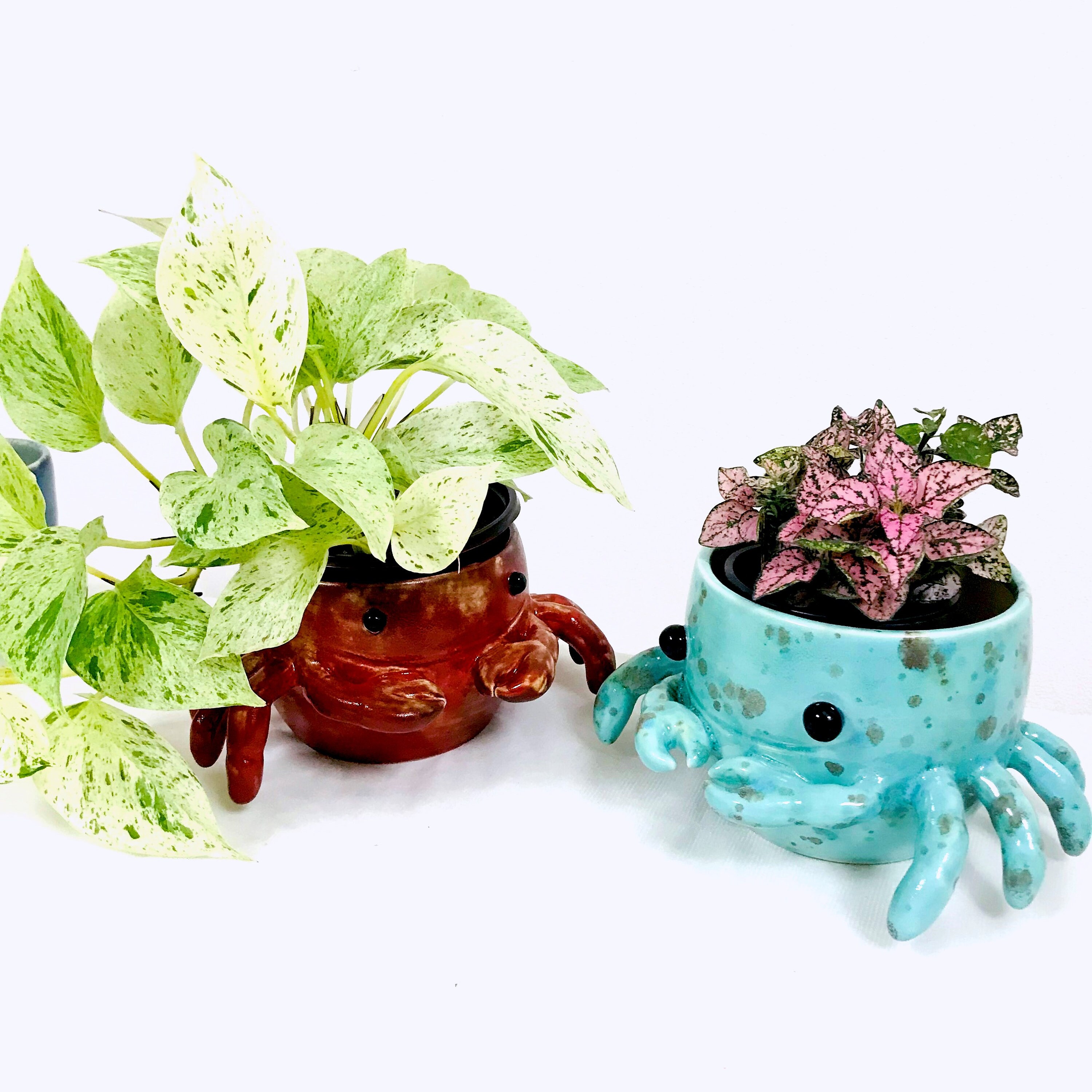 Big Crab Planter Pot W/ Drainage. Handmade Ceramic Pottery. Etsy
