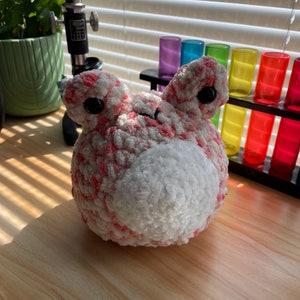Strawberry Frog Crocheted Amigurumi Plushie