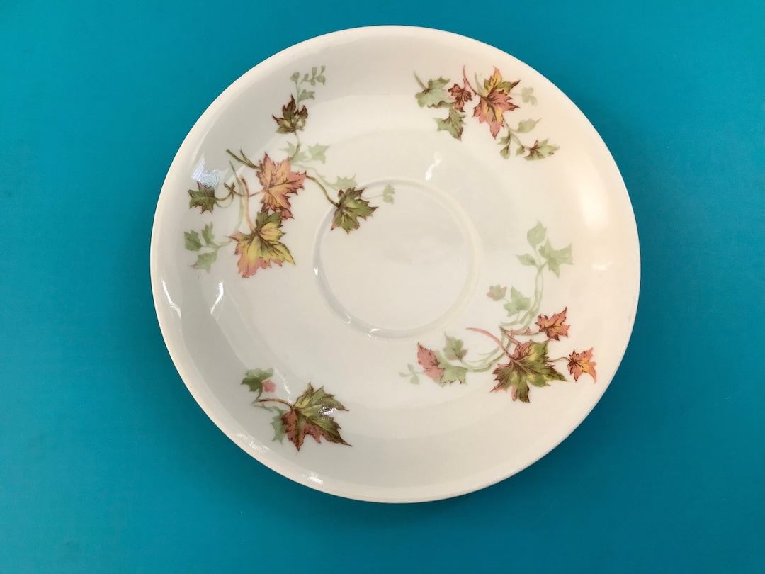Haviland & Co. Limoges autumn Leaf Pattern China Saucer Plate Etsy