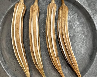 Dried Okra Pods 2 sizes - Okra Decor Primative Fall Decor Okra Crafting Wreath Okra Santa Ornament Craft