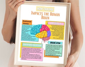 May include: A colorful infographic illustrating how trauma impacts the human brain. The brain is divided into sections, each labeled with the name of a brain region: Prefrontal Cortex, Hippocampus, Amygdala, and Brain Stem. Each section includes a brief description of the brain region's function and how trauma affects it.