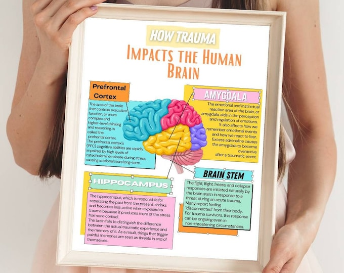 Trauma Impact on Brain Poster: Therapy Office Decor (Digital Download)