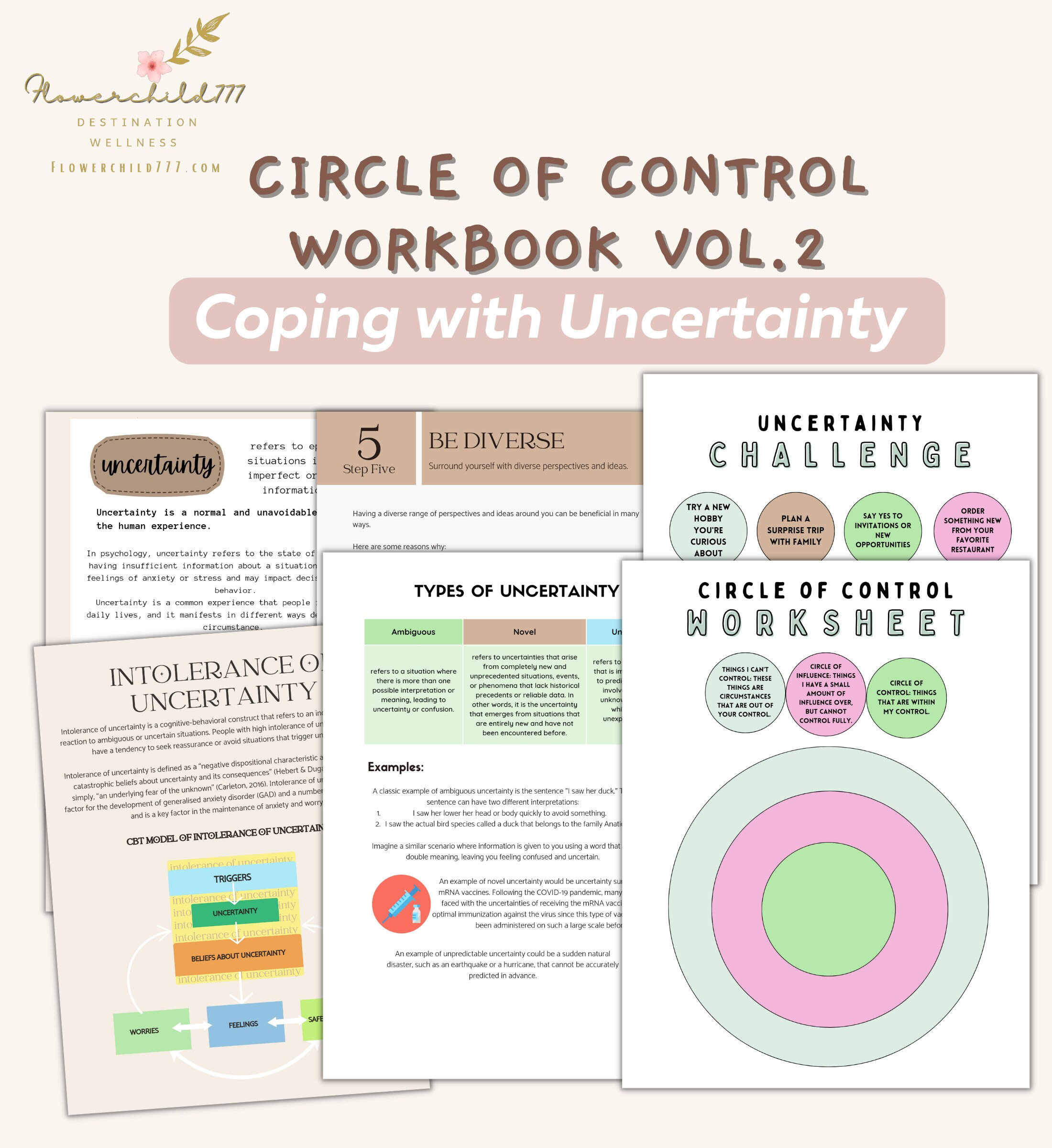 circle-of-control-worksheet-printable-circle-of-control-pdf-anxiety-circle-of-control-cbt