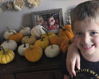 Henry's Mini Pumpkin Mix, 15+ Seeds (Seed Packet)