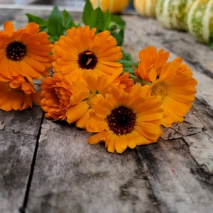 Very Orange Calendula Mix, Annual (Seed Packet)
