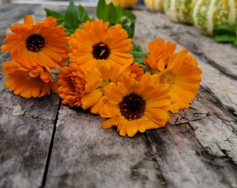 May include: A cluster of bright orange calendula flowers on a weathered wooden surface.