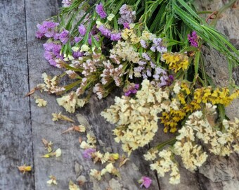 Mixed Statice (30+ Seeds), Everlasting Paper Flower, Annual