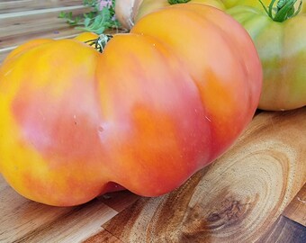 Heirloom Giant Tomatoes (Seed Packet) 25+ Seeds