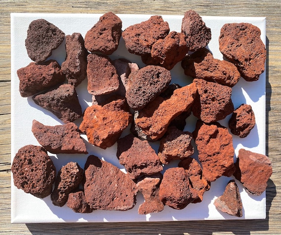 Rocas de lava roja de 7 libras para plantas, roca volcánica hortícola de  lava para paisajismo drenaje, grava de roca de lava pequeña para  suculentas