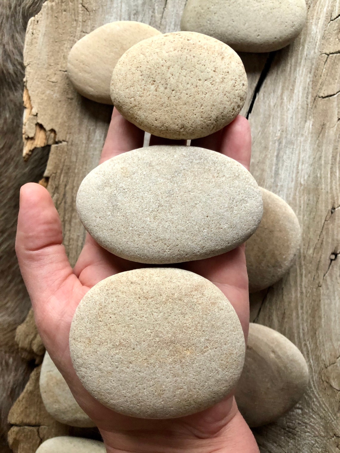 10 flat big natural stones flat beach Stones Fast shipping Etsy