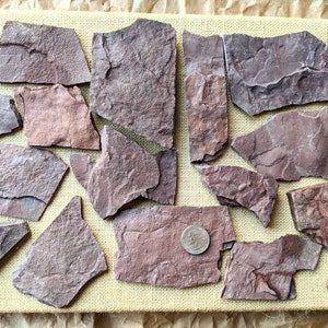 12-16 Small 24 Pc of Beautiful Flat Stones Slate Red - Etsy