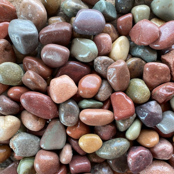 12 lbs Rainbow River Pebbles: Natural Montana Beach Stones, 1" Size