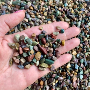 25 lbs Colorful Natural River Pebbles (1/4”-1/2”) Montana Tumbled Gravel for Planters  Terrariums Aquariums Crafts and Décor vivariums