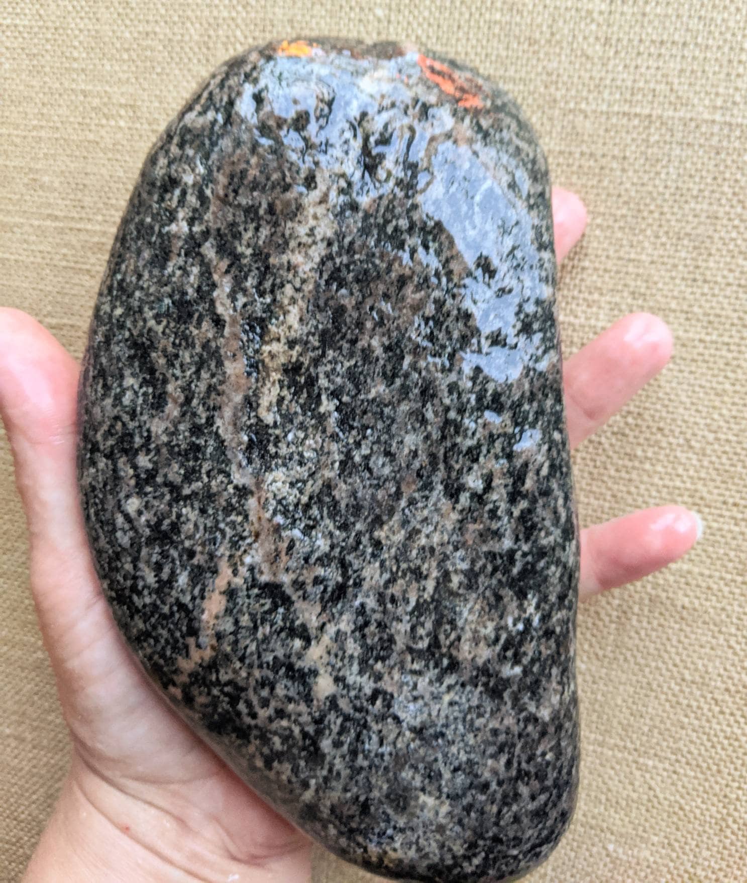 Extra big flat stone for painting terrarium mosaics etc. Etsy