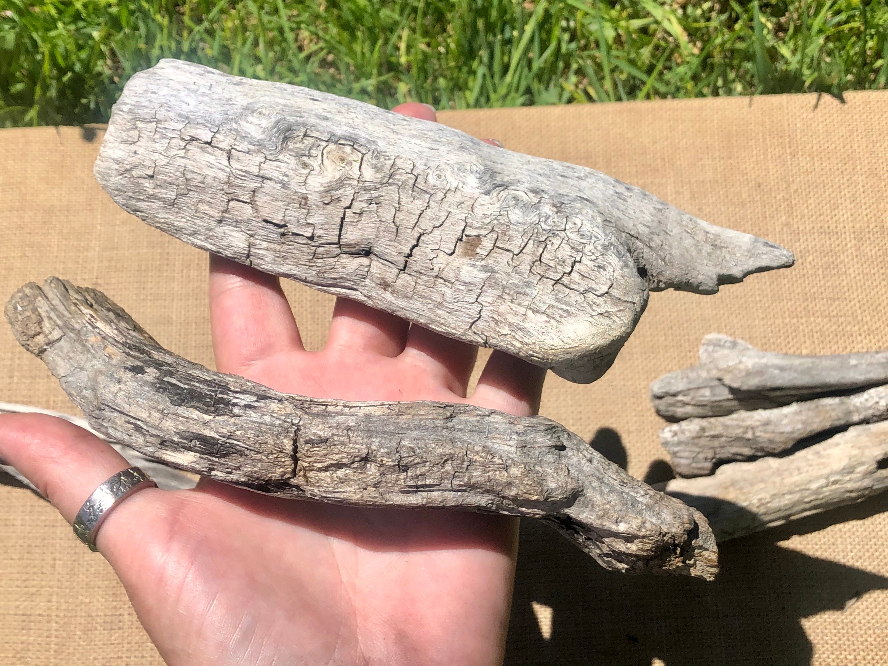 fresh water drift wood fresh water drift wood