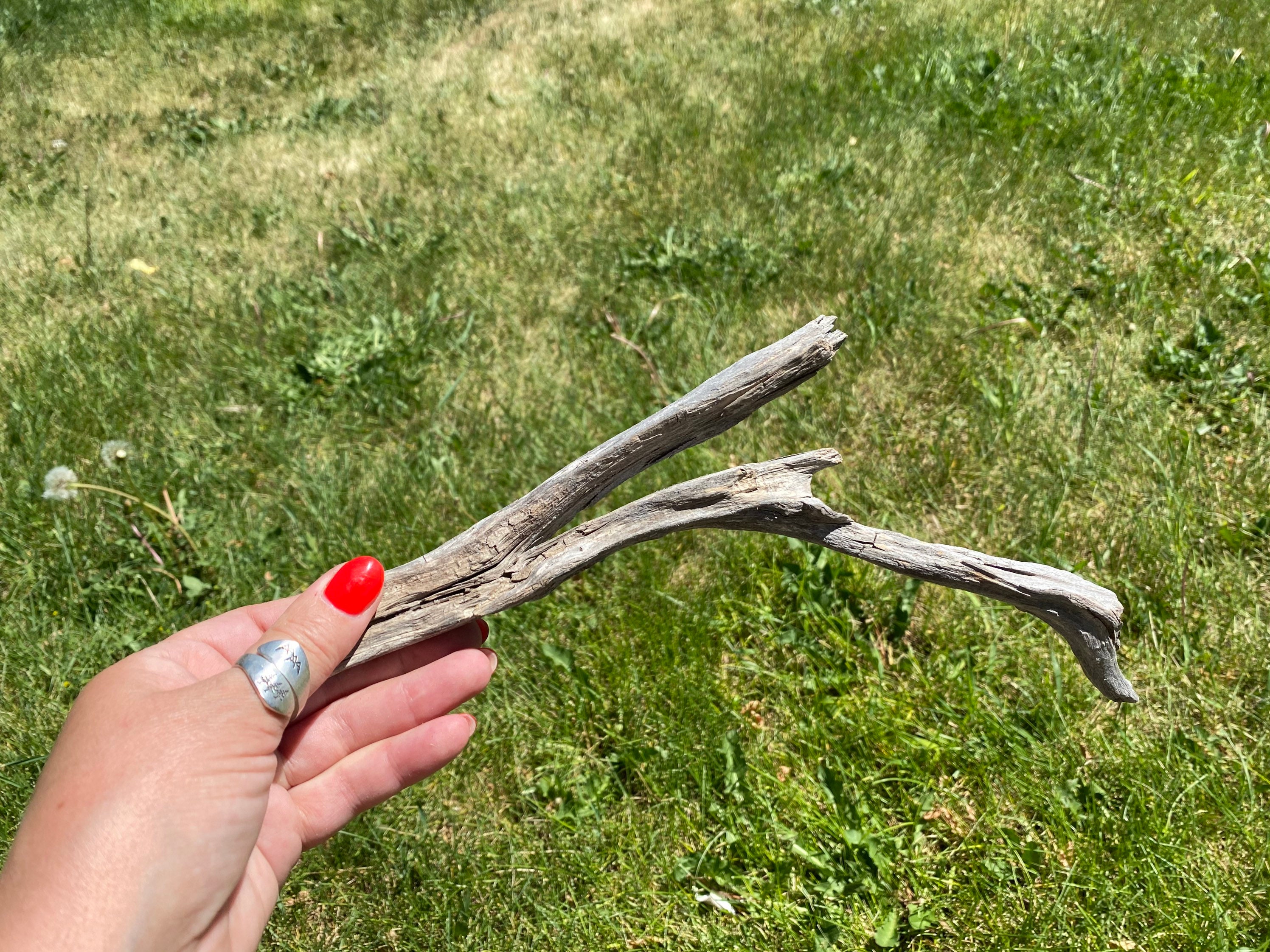 fresh water drift wood fresh water drift wood