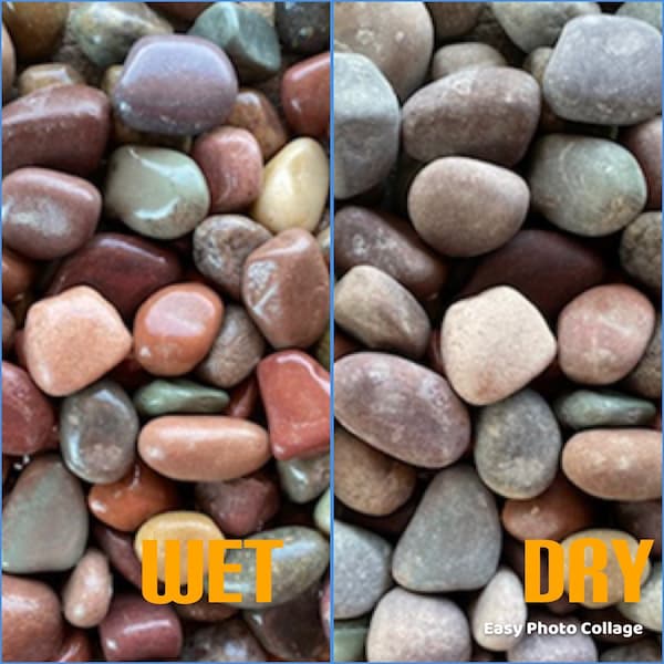 4 lbs (1”) Rainbow stones River pebbles aquarium terrarium planter fountains look great wet! 1” average, approx 250 stones! cover 10"x10"