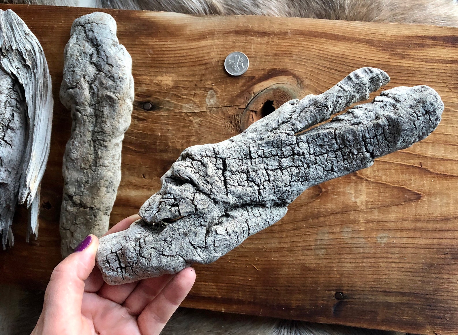 large fresh water drift wood large fresh water drift wood