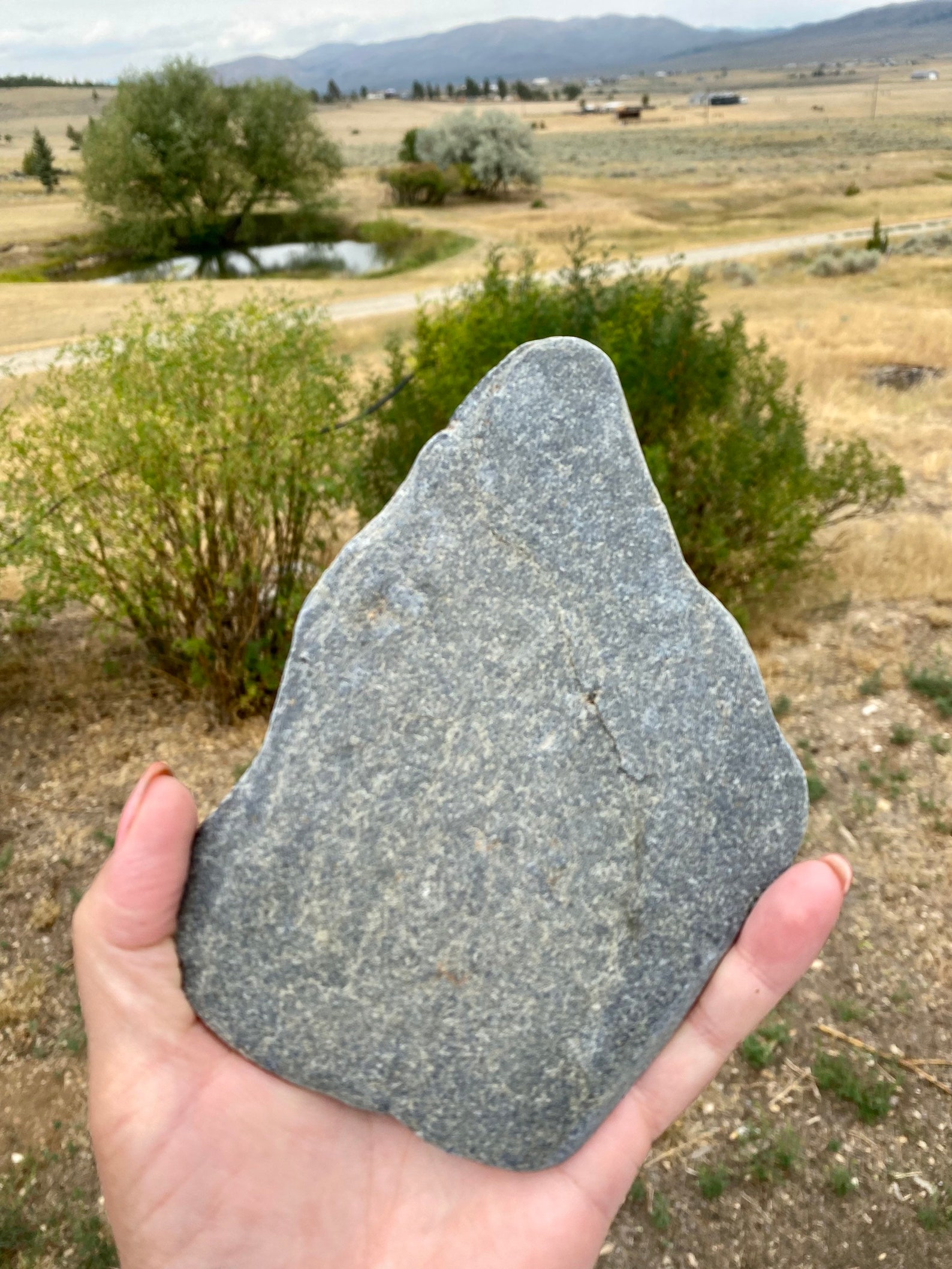 6 flat very big natural stones from Montana. Fast shipping Etsy