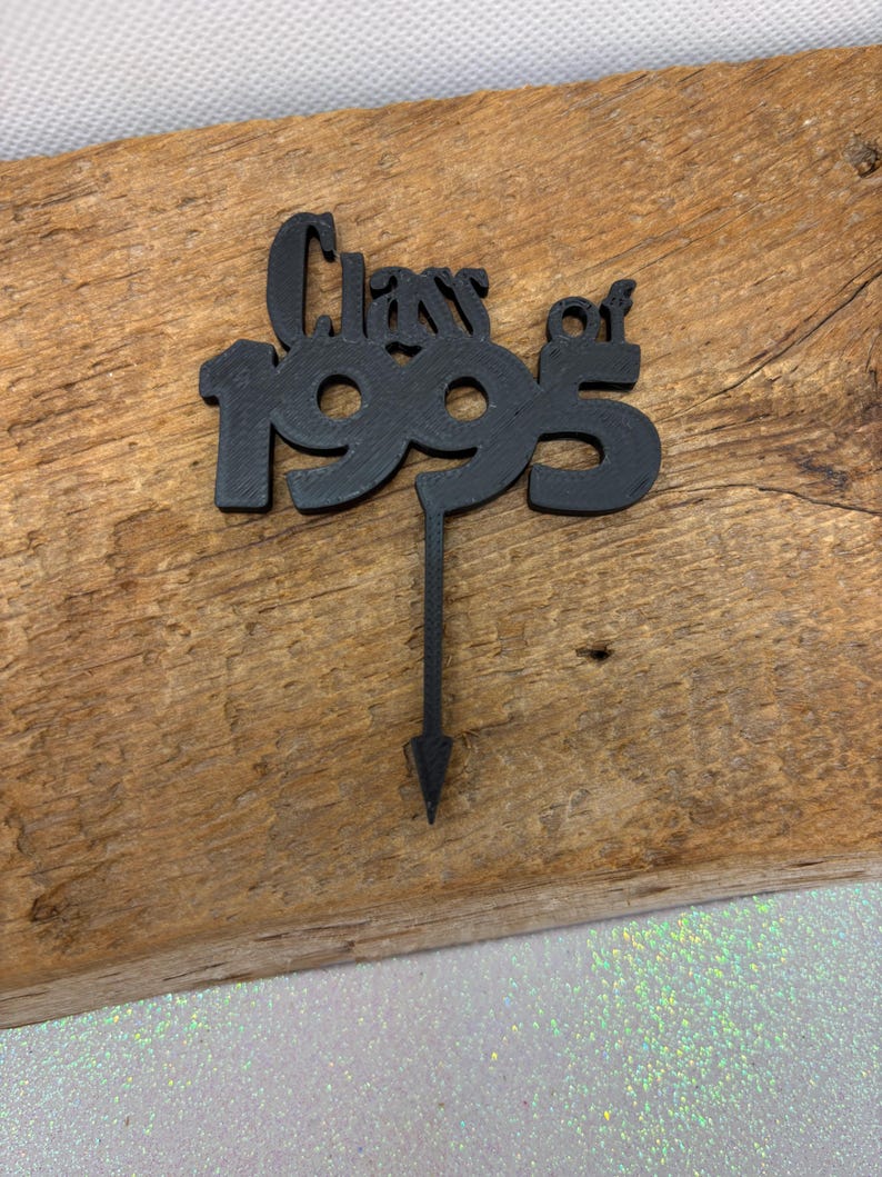Custom Class Reunion Cupcake Toppers - Set of 12, 3D Printed - Etsy