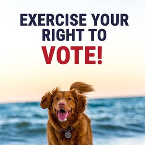 Postcards to Voters: "Exercise Your Right To Vote!" Election Reminder Postcards *with Address Lines* Premium Cardstock 100 Postcards