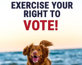 Postcards to Voters: "Exercise Your Right To Vote!" Election Reminder Postcards *with Address Lines* Premium Cardstock 100 Postcards