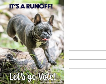 May include: A gray French Bulldog leaps over a log in a grassy area. The image includes the text "IT'S A RUNOFF!" at the top and "Let's go Vote!" at the bottom, encouraging civic engagement.