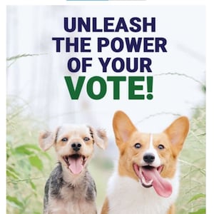 Postkaarten voor kiezers: "Ontketen de kracht van je STEM!" Postkaarten voor stemherinnering *met adresregels* Smiling Corgi & Dog Friend 100-kaarten
