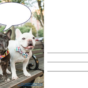 Cartoline per gli elettori: Bulldog francesi, sii un promemoria per gli elettori Cartoline con nuvoletta vuota e righe per l'indirizzo! Confezione da 100 cartoline