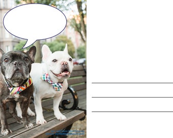 Postcards to Voters: French Bulldogs Be A Voter Nudge Reminder Postcards with Blank Word Bubble and address lines! 100 Postcard Pack