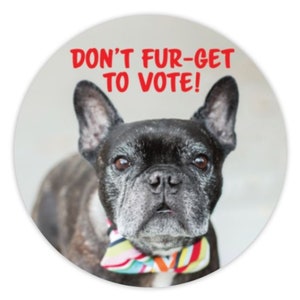 Postkaarten voor kiezers: "Vergeet niet te stemmen!" of "Wees een kiezer!" 50 glanzende stickers voor verkiezingsherinnering: stemmen voor honden