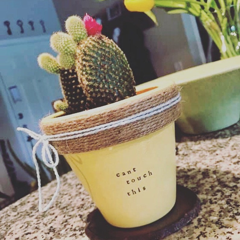 Plant Puns Keriann�s Punny Pots Funny Planters Herb Etsy