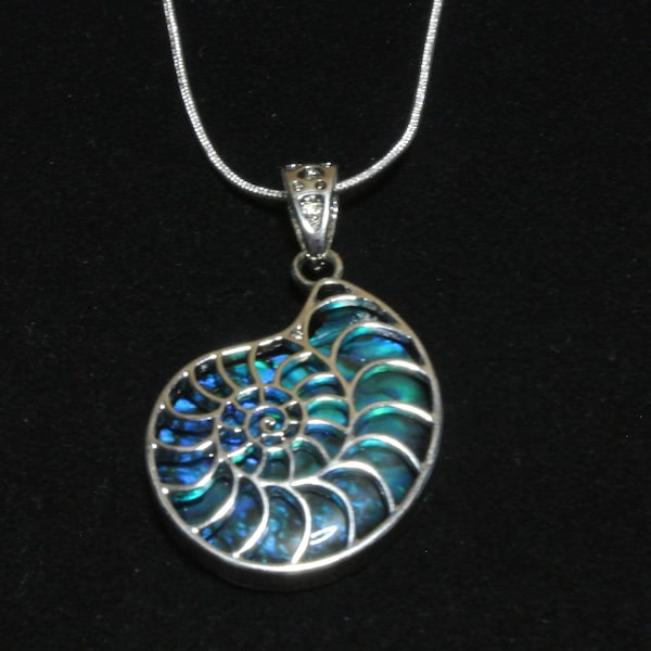 Paua Shell Nautilus Necklace