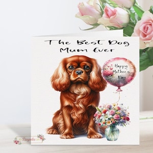 May include: A Mother's Day card featuring a Cavalier King Charles Spaniel illustration. The card reads "The Best Dog Mum Ever" and includes a pink balloon with "Happy Mother's Day". A bouquet of flowers in a glass vase is also present.