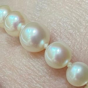 Vintage Genuine Graduated Pearl Necklace S.Takashima Pearl Company - 1950&#39;s - In Original Silk Box - Family Collectable