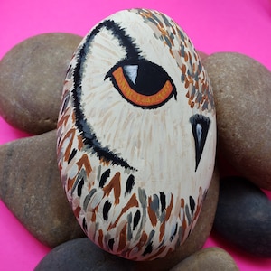 May include: Hand-painted rock art of an owl's face with a large orange eye and black and brown feathers. The rock is surrounded by other rocks.