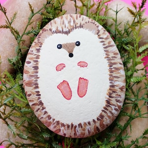 May include: A hand-painted rock depicting a hedgehog with brown and white markings. The hedgehog is curled up with its pink feet visible. The rock is surrounded by green foliage.